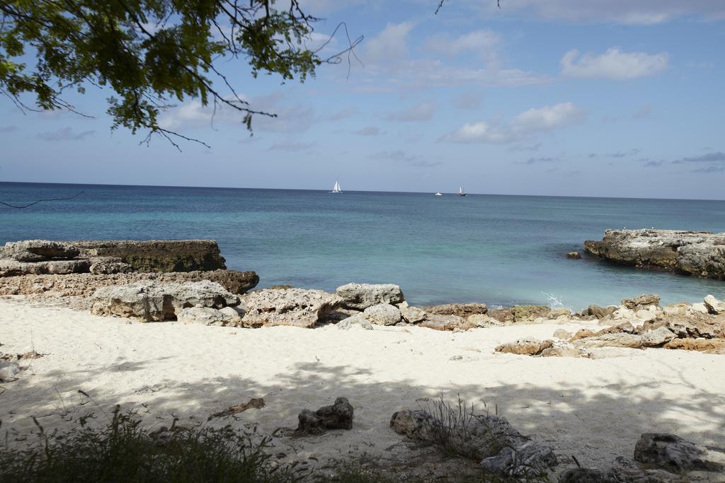 Villa Bougainvillea Aruba, The Tango Suite Palm Beach Exterior foto