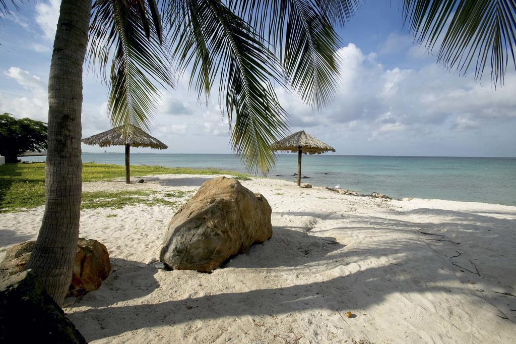 Villa Bougainvillea Aruba, The Tango Suite Palm Beach Exterior foto